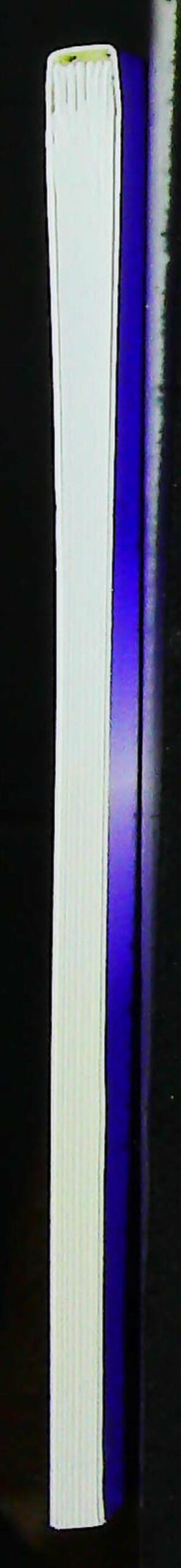 Kalachakra : La grande cérémonie du homa de Kalachakra – Image 5