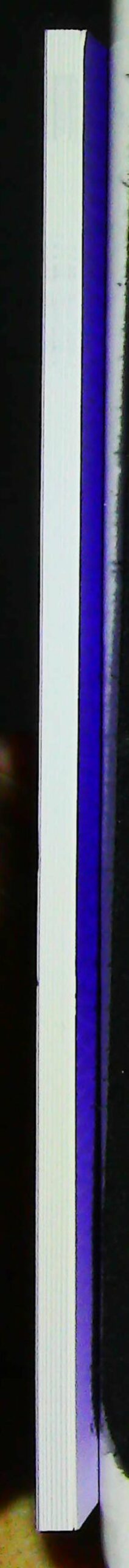 Kalachakra : La grande cérémonie du homa de Kalachakra – Image 6