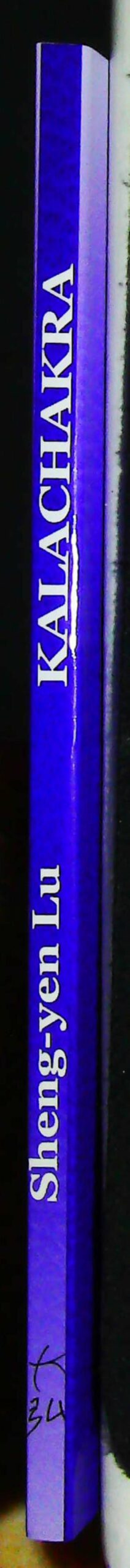 Kalachakra : La grande cérémonie du homa de Kalachakra – Image 7