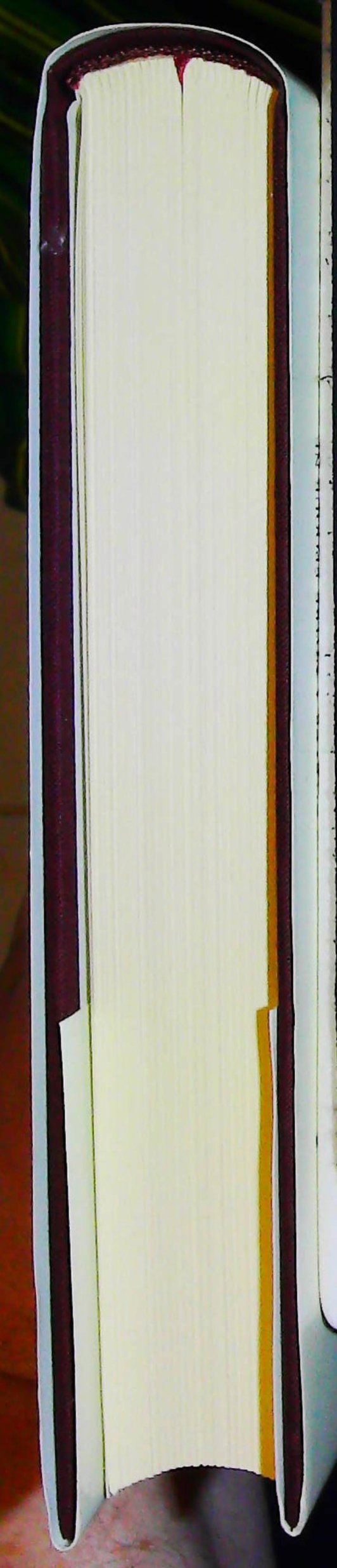 L Art Du Costume D Arles – Image 4