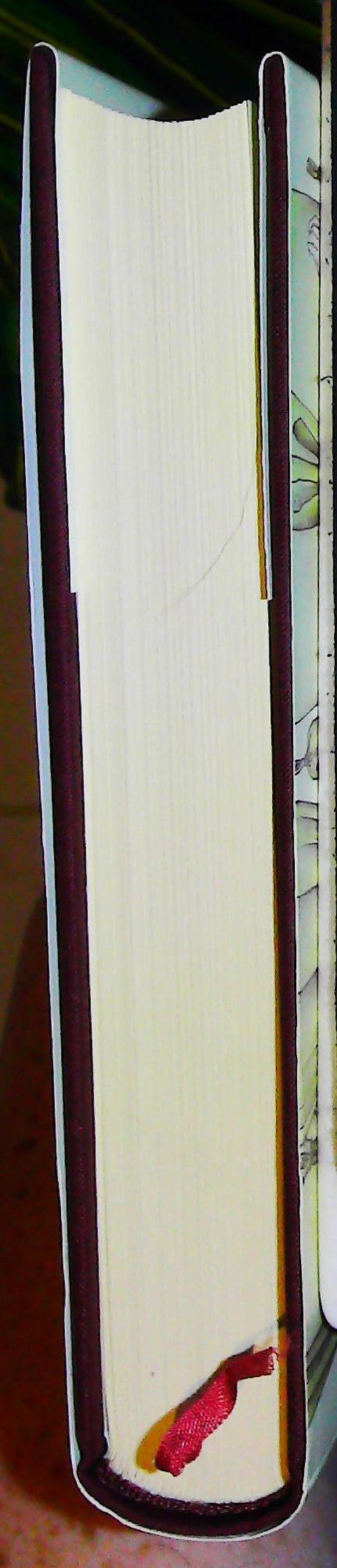 L Art Du Costume D Arles – Image 5