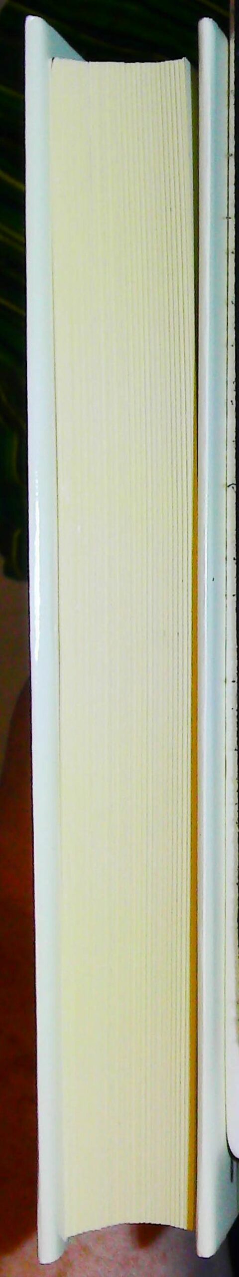 L Art Du Costume D Arles – Image 6