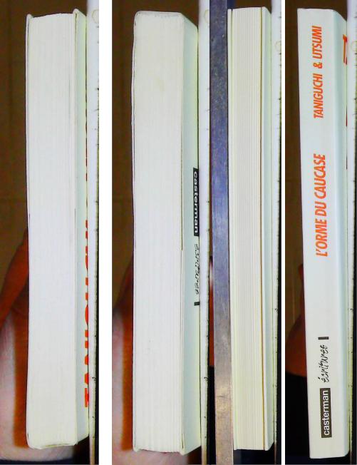 L'Orme du Caucase – Image 4