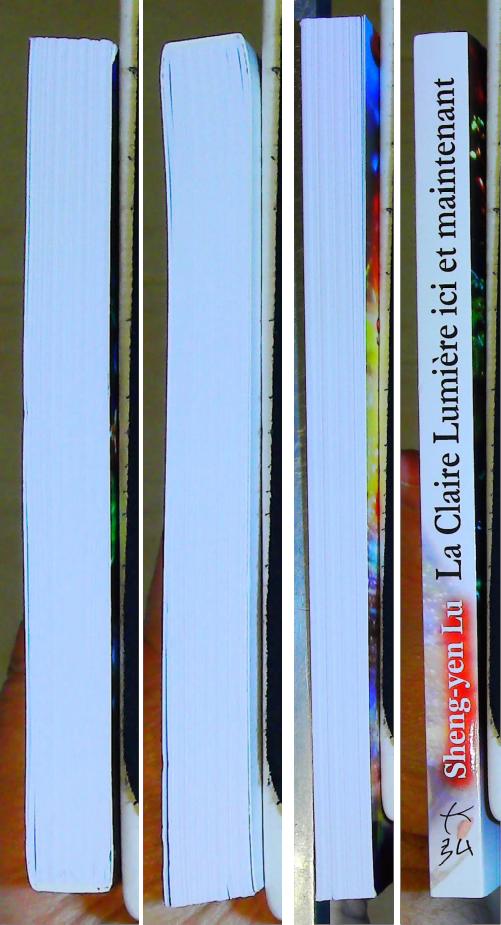 La claire lumière ici et maintenant – Image 4