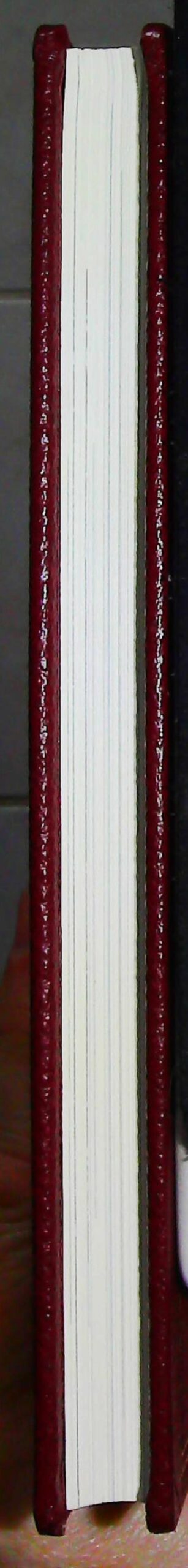 La mise en mots – Image 13