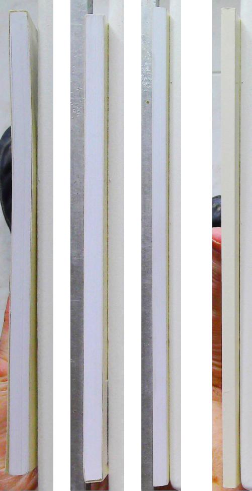 La pomme de l'espérance – Image 4