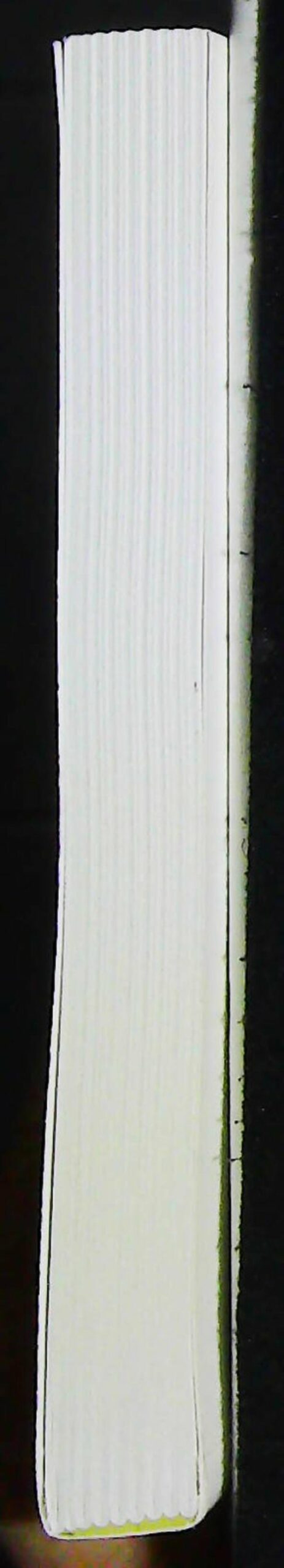 La sagesse du "cela ne fait rien" – Image 4