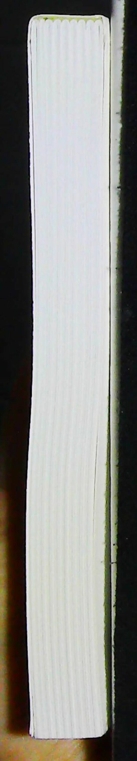 La sagesse du "cela ne fait rien" – Image 5