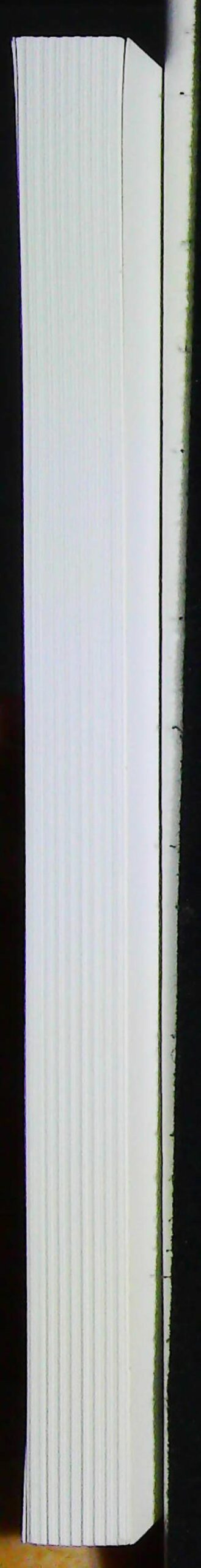 La sagesse du "cela ne fait rien" – Image 6