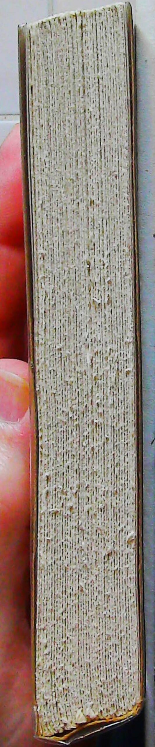 Langage astral : Traité sommaire d'astrologie scientifique – Image 4