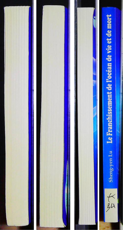 Le franchissement de l'océan de vie et de mort – Image 4