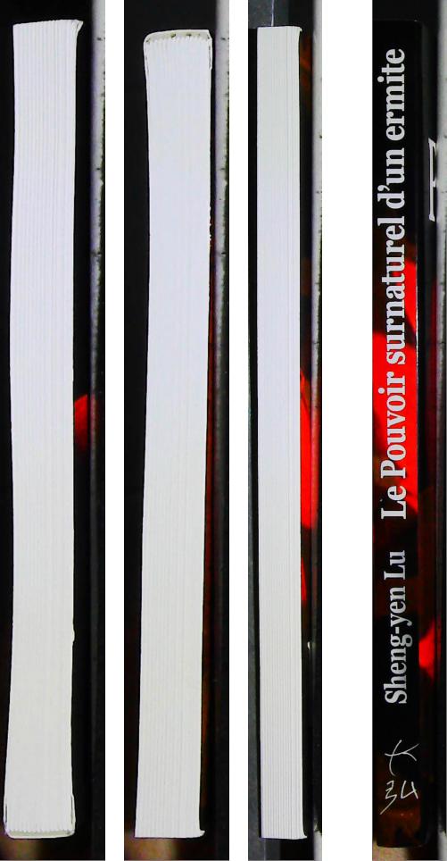 Le pouvoir surnaturel d'un ermite – Image 4