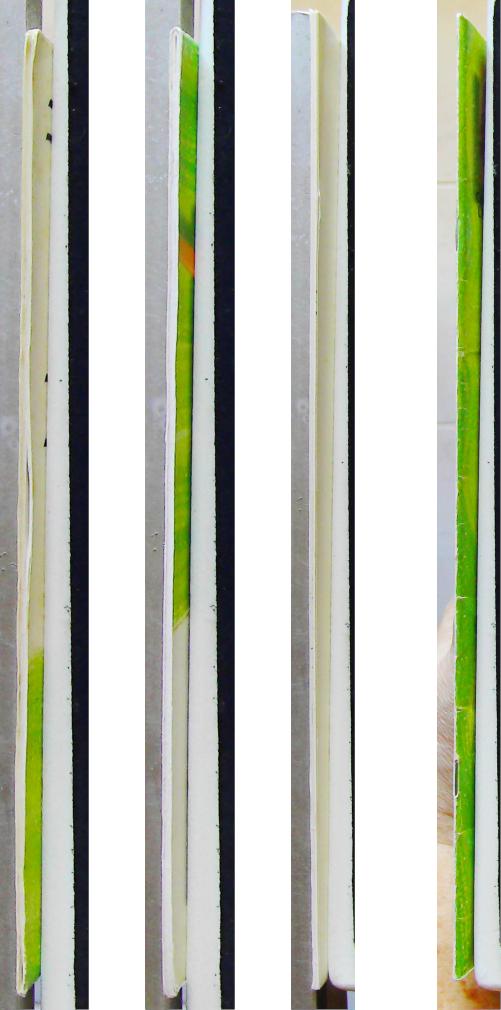 Lefranc Bourgeois Album Léonardo n°35 Les Bases de la bande dessinée volume 1 – Image 4