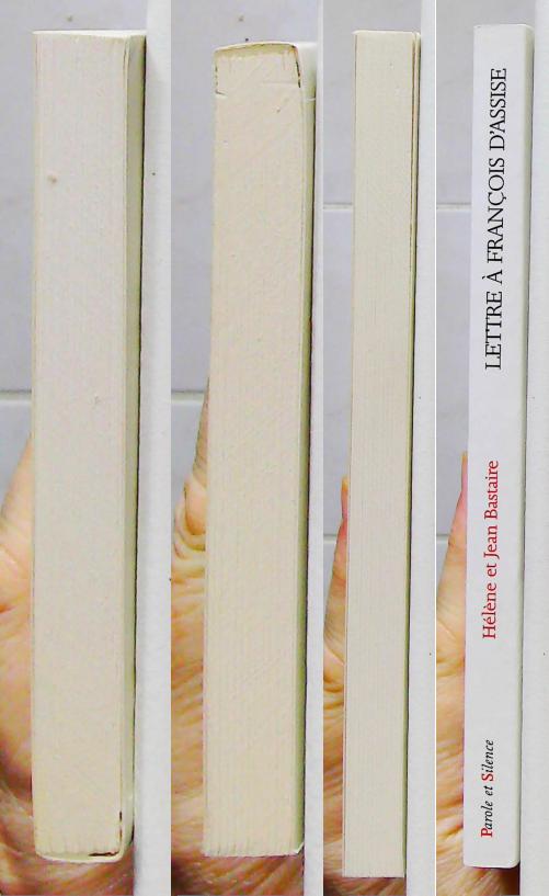 Lettre à François d'Assise sur la fraternité cosmique – Image 4