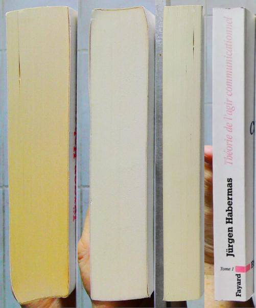 Théorie de l'agir communicationnel, tome 1-1 Rationnalité de l'action et rationnalisation de la socié – Image 4