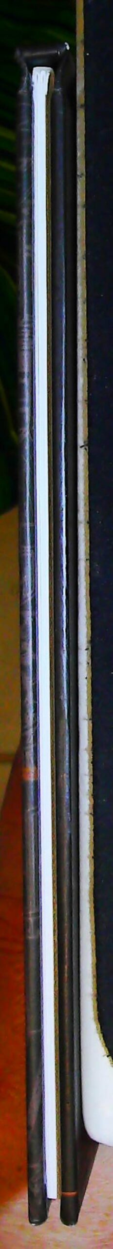 Zombies La Divine Comédie Tome 01 – Image 5