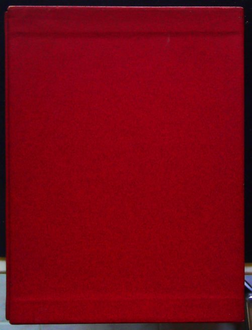 hommage à léon mba- – Image 2