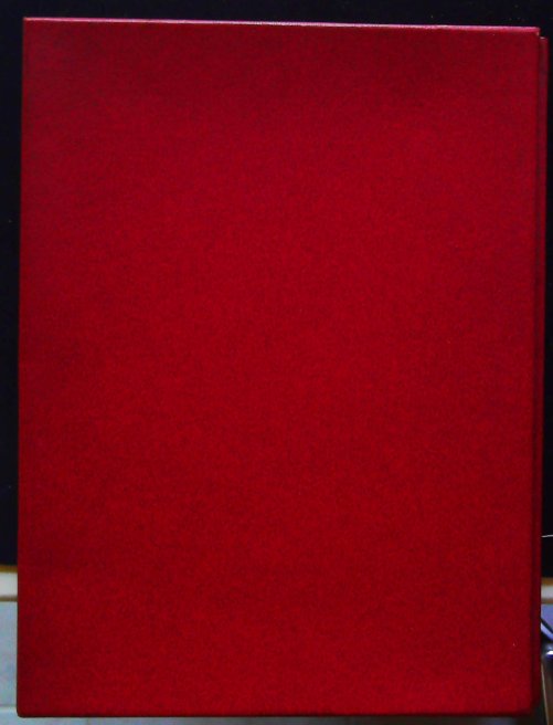 hommage à léon mba- – Image 3