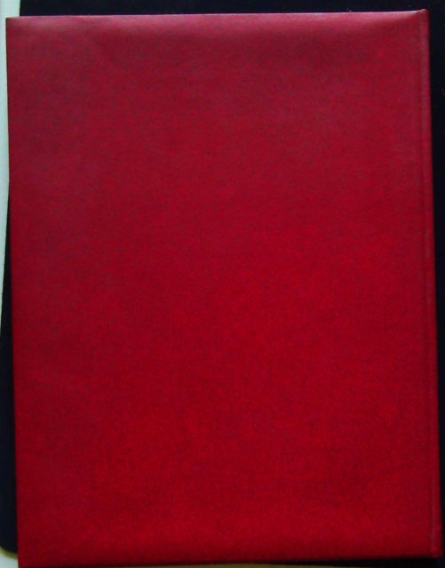 hommage à léon mba- – Image 6