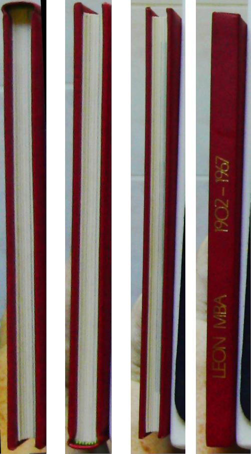 hommage à léon mba- – Image 8