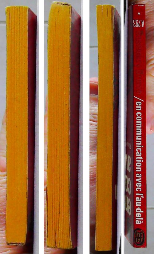 En communication avec l'au delà