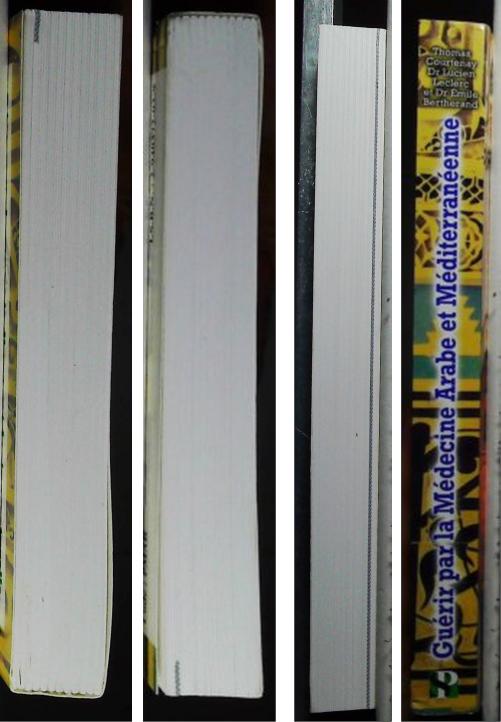 Guérir par la médecine arabe et méditérranéenne – Image 6