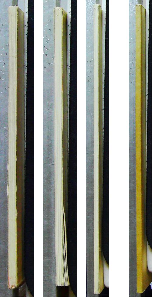 Les grues à tour nécessité et dangers de leur utilisation – Image 5