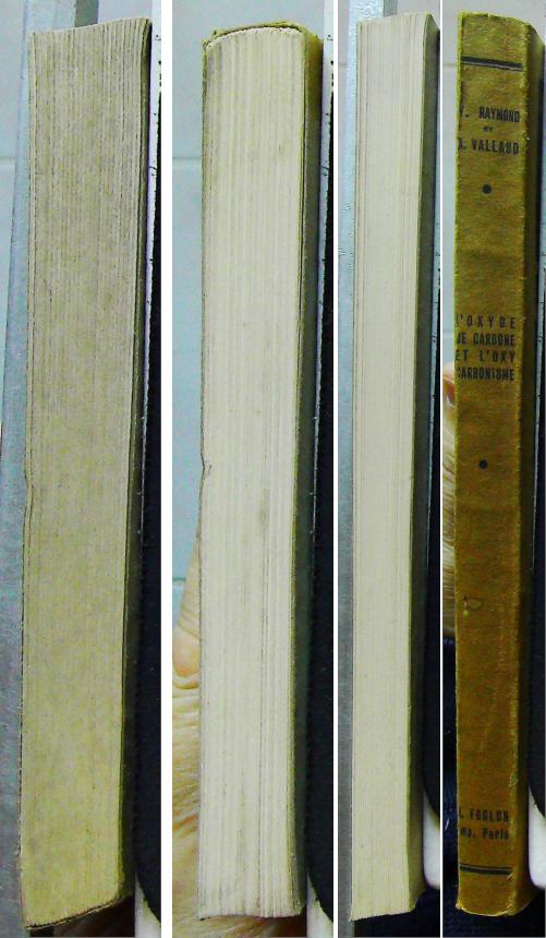 L'Xoxyde carbone et l'Xoxycarbonisme – Image 7