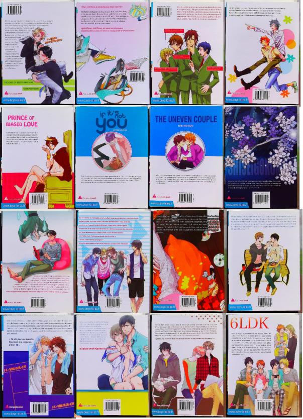 Lot de 16 Mangas Boys's Love (Titres en description) – Image 3
