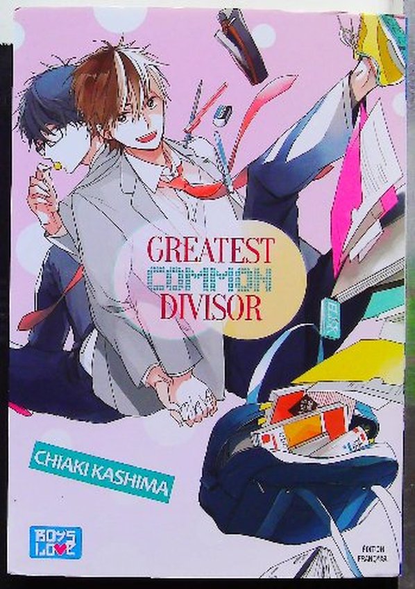 Lot de 16 Mangas Boys's Love (Titres en description) – Image 5