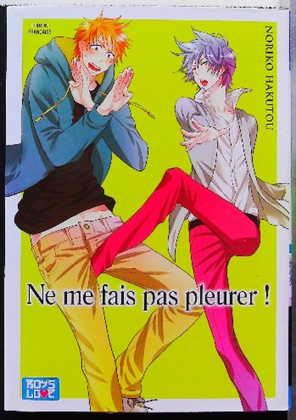 Lot de 16 Mangas Boys's Love (Titres en description) – Image 7