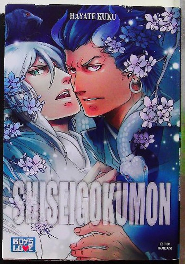 Lot de 16 Mangas Boys's Love (Titres en description) – Image 11