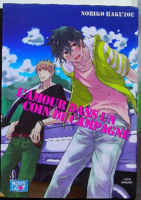 Lot de 16 Mangas Boys's Love (Titres en description) – Image 13