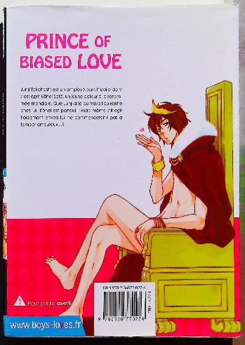 Lot de 16 Mangas Boys's Love (Titres en description) – Image 24