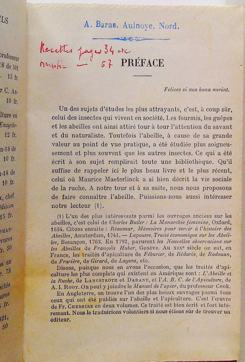 Les Habitants de la ruche – Image 4