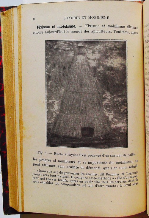Les Habitants de la ruche – Image 5