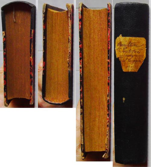Les Habitants de la ruche – Image 7