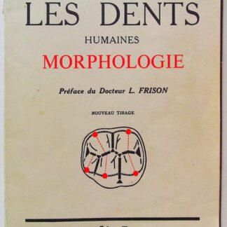 Les dents humaines : morphologie