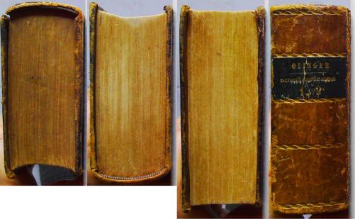 Nouveau dictionnaire de poche flamand-français et français-flamand – Image 5