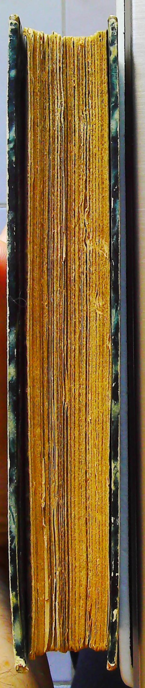 La ma^itresse du prince jean – Image 7