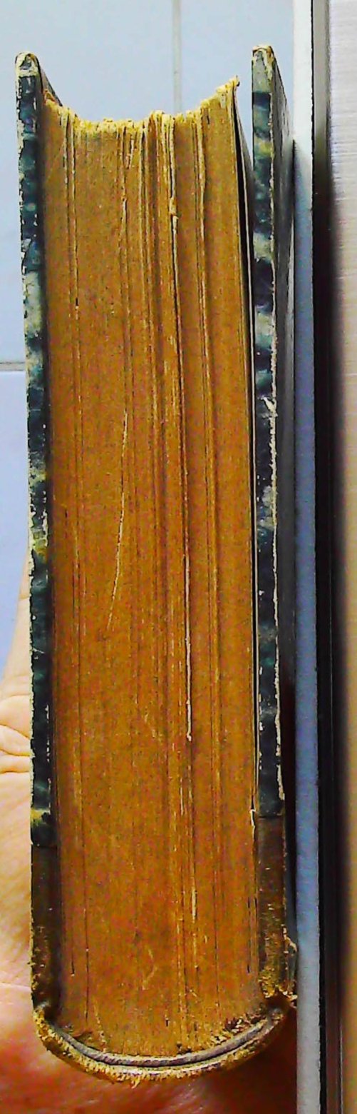La ma^itresse du prince jean – Image 8