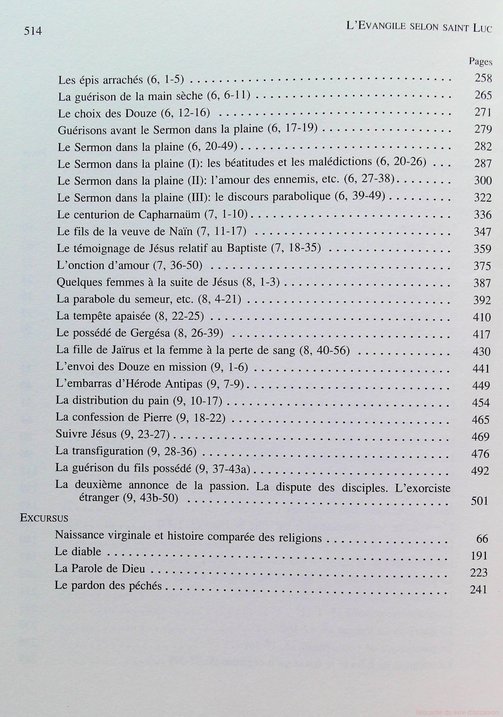 L''Evangile selon saint Luc, Tome 1 (1, 1-9) – Image 4