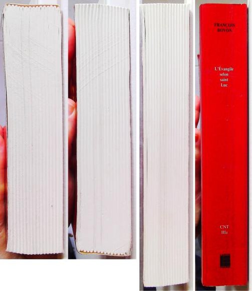 L''Evangile selon saint Luc, Tome 1 (1, 1-9) – Image 5
