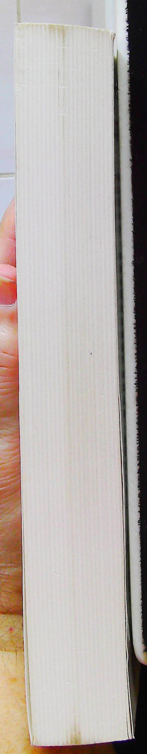Que la lumière soit – Image 4